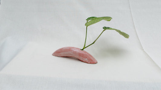 Modern Mini Arch Vase – Handmade Ceramic Vase for Fresh or Dried Flowers & Propagation