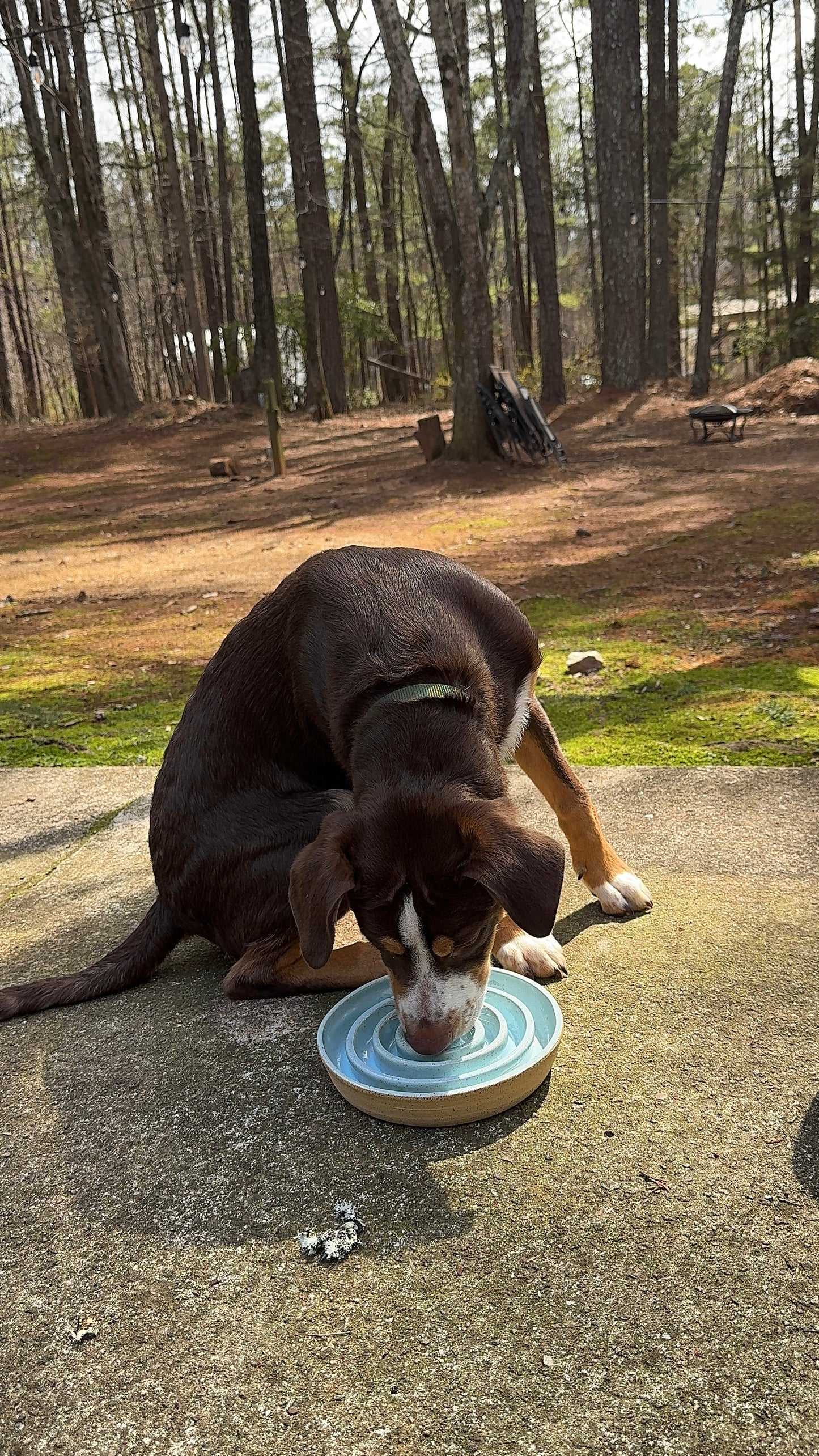 *Pre-Order* LARGE Slow Feed Dog Bowl - Smooth Rim (Custom Color)