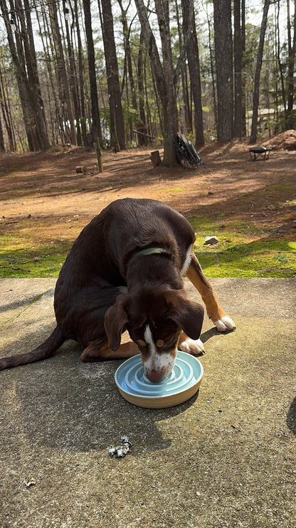 *Pre-Order* LARGE Slow Feed Dog Bowl - Smooth Rim (Custom Color)