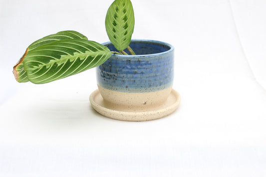 Handmade Ceramic Planter with Drainage – Indigo Rim, Speckled Stoneware