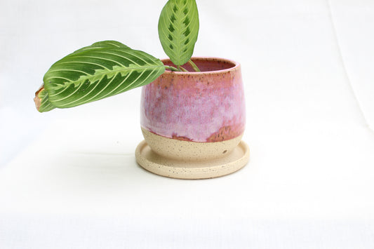Handmade Ceramic Planter with Drainage – Rose Pink Glaze, Speckled Stoneware