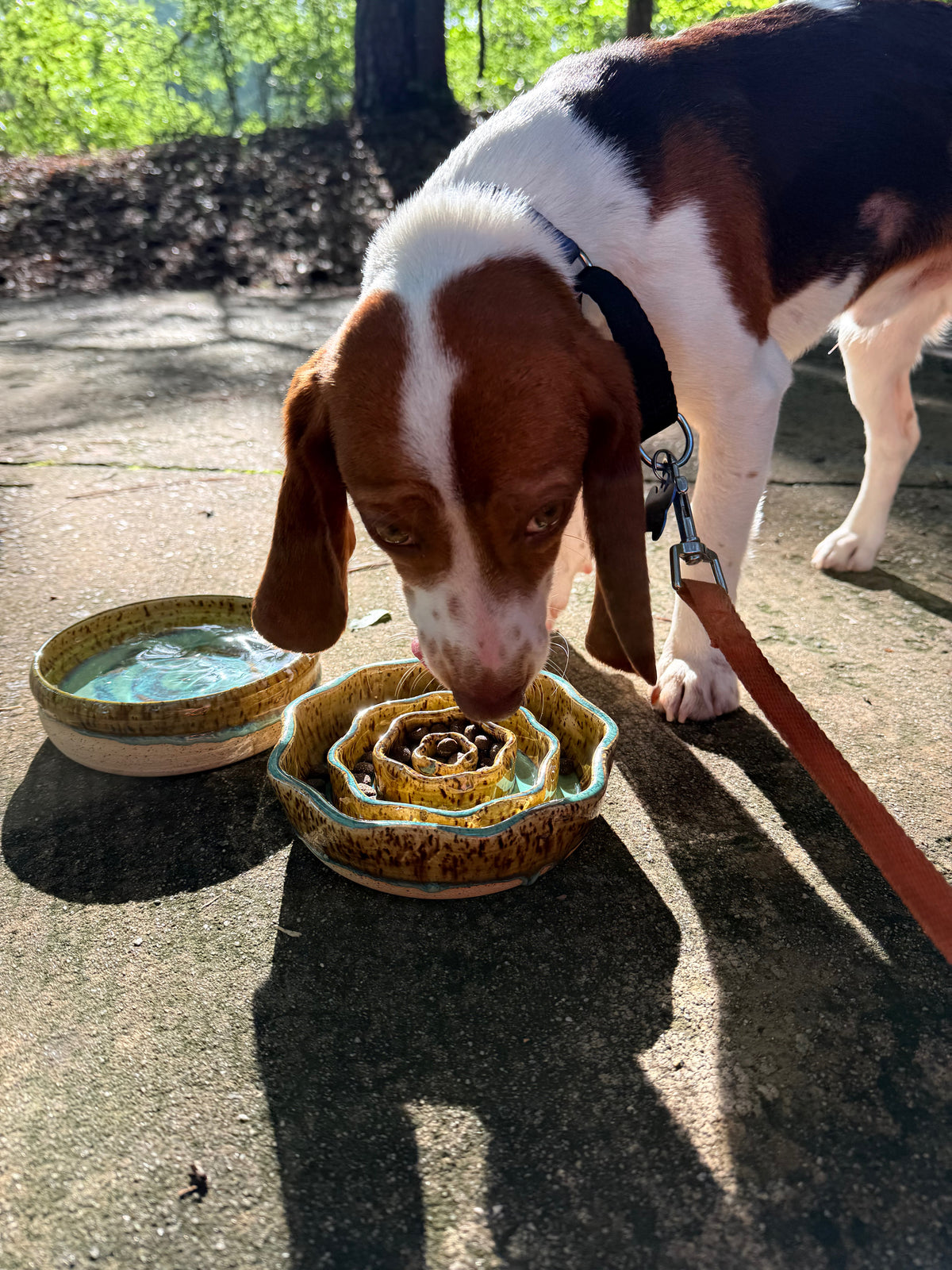 *Pre-Order* SMALL Dog & Cat Slow Feeder Bowl - Smooth Rim (Custom Color)
